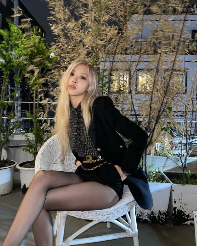 로제 이미지