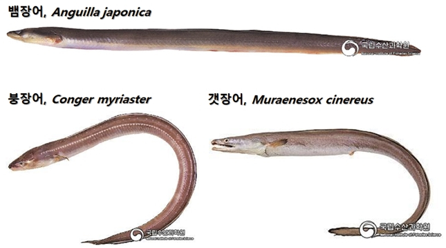 우리바다유통 이미지