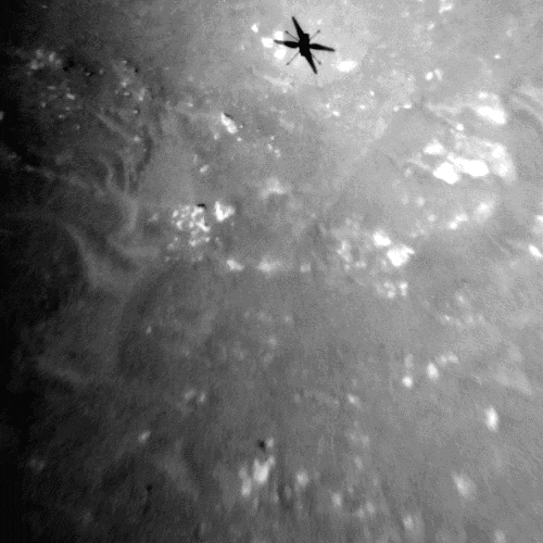3차 비행 당시 인저뉴어티가 지나가면서 생긴 그림자를 흑백 카메라로 찍은 모습
