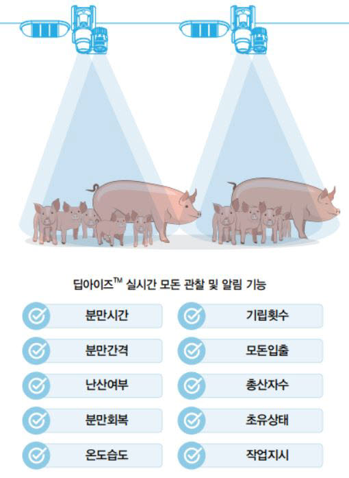센 이미지