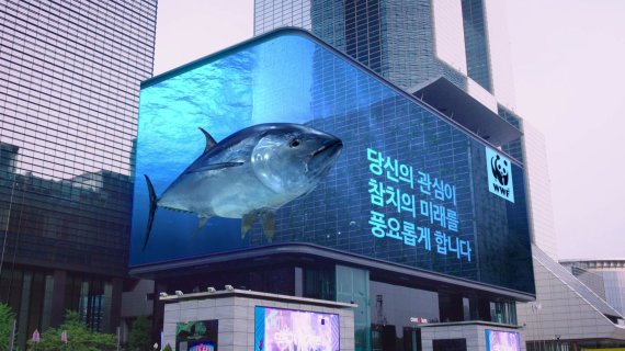 제일참치 이미지