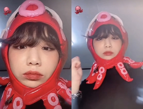 문어의꿈 이미지