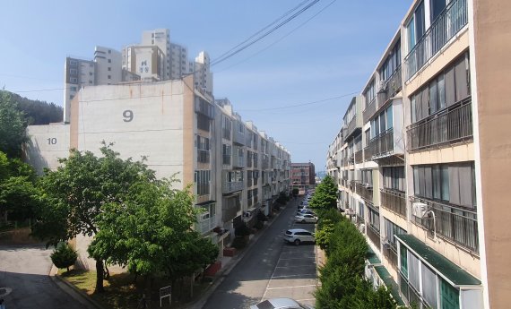조양비취 이미지