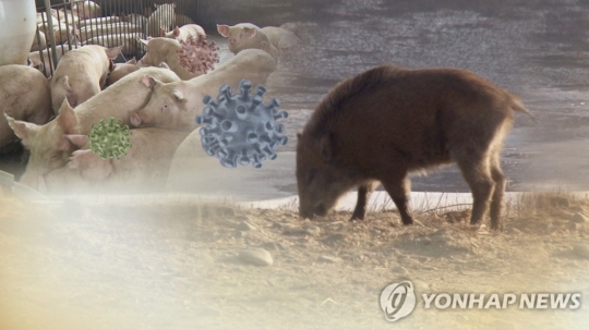 (주)아프리카 이미지