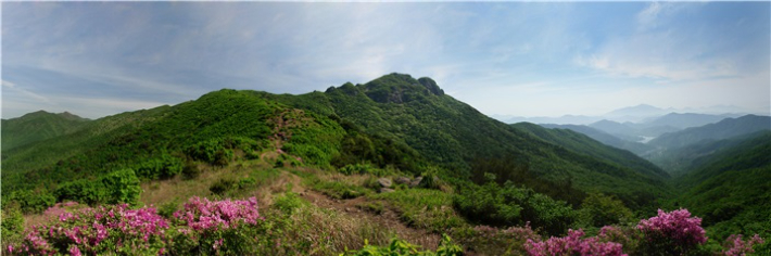 광양뉴스(주) 이미지