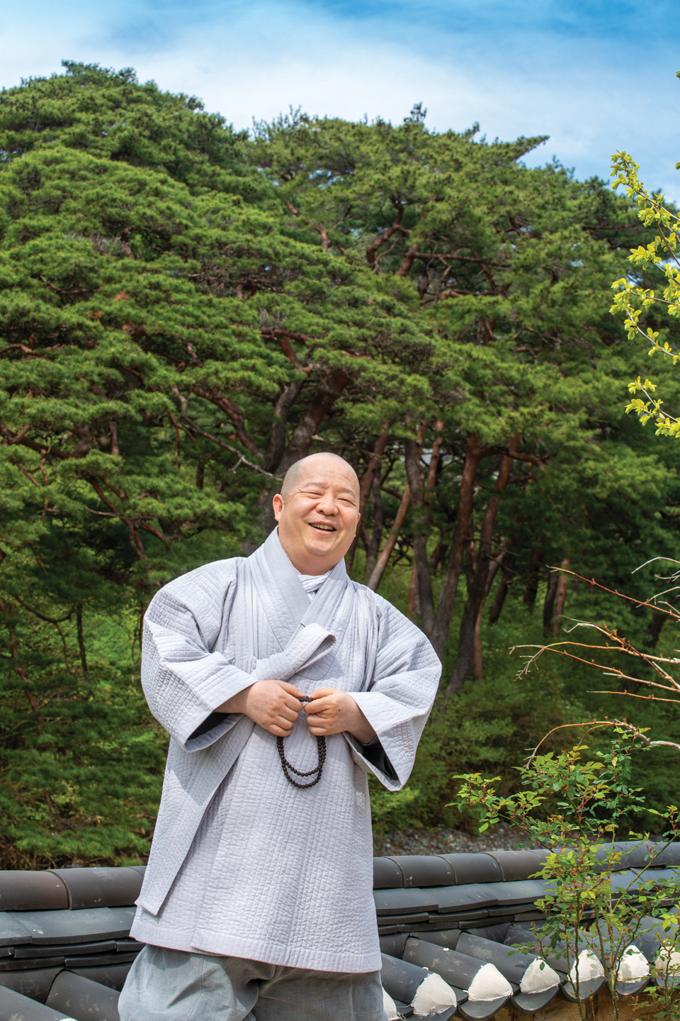 광우수석 이미지