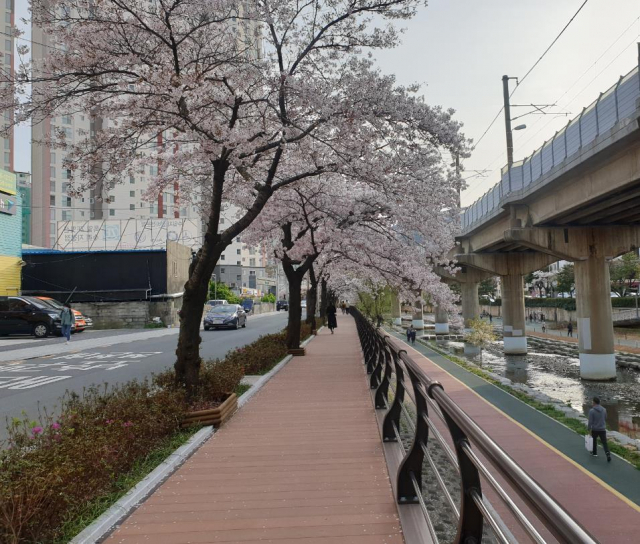 금정용역 이미지
