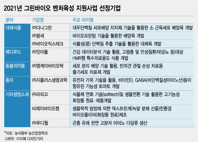 엠케이개발주 이미지