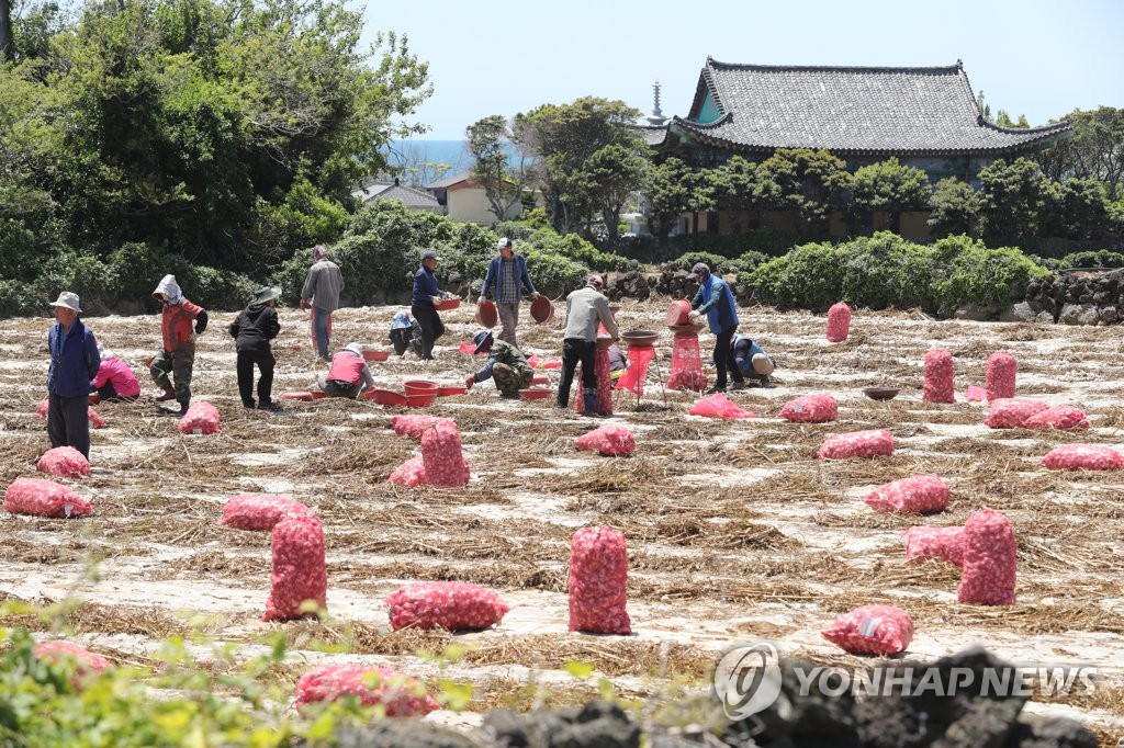 제주인력직업소개소 이미지
