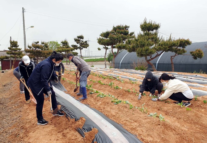 벽제농협 이미지