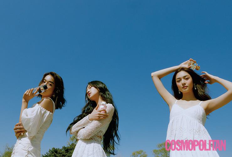 주아로지스 이미지