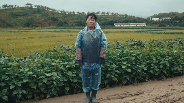 한반도기획 이미지