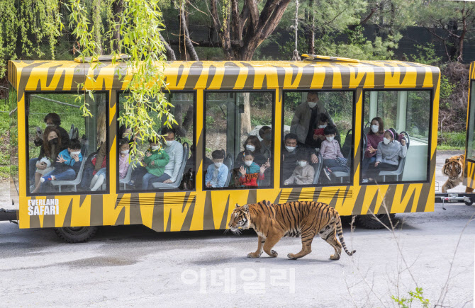 에버월드투어 이미지