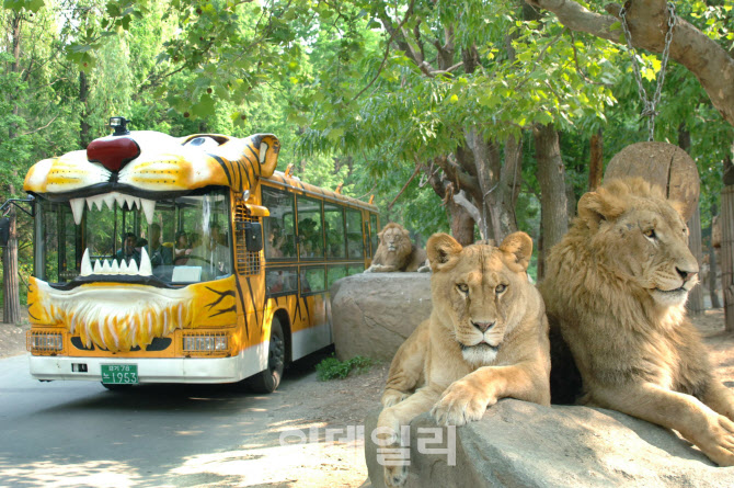 월드음향 이미지