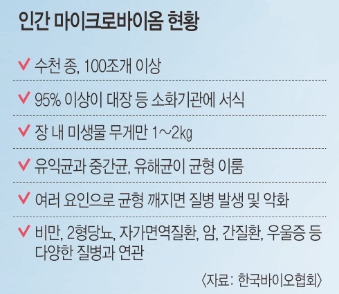 건강지도 이미지