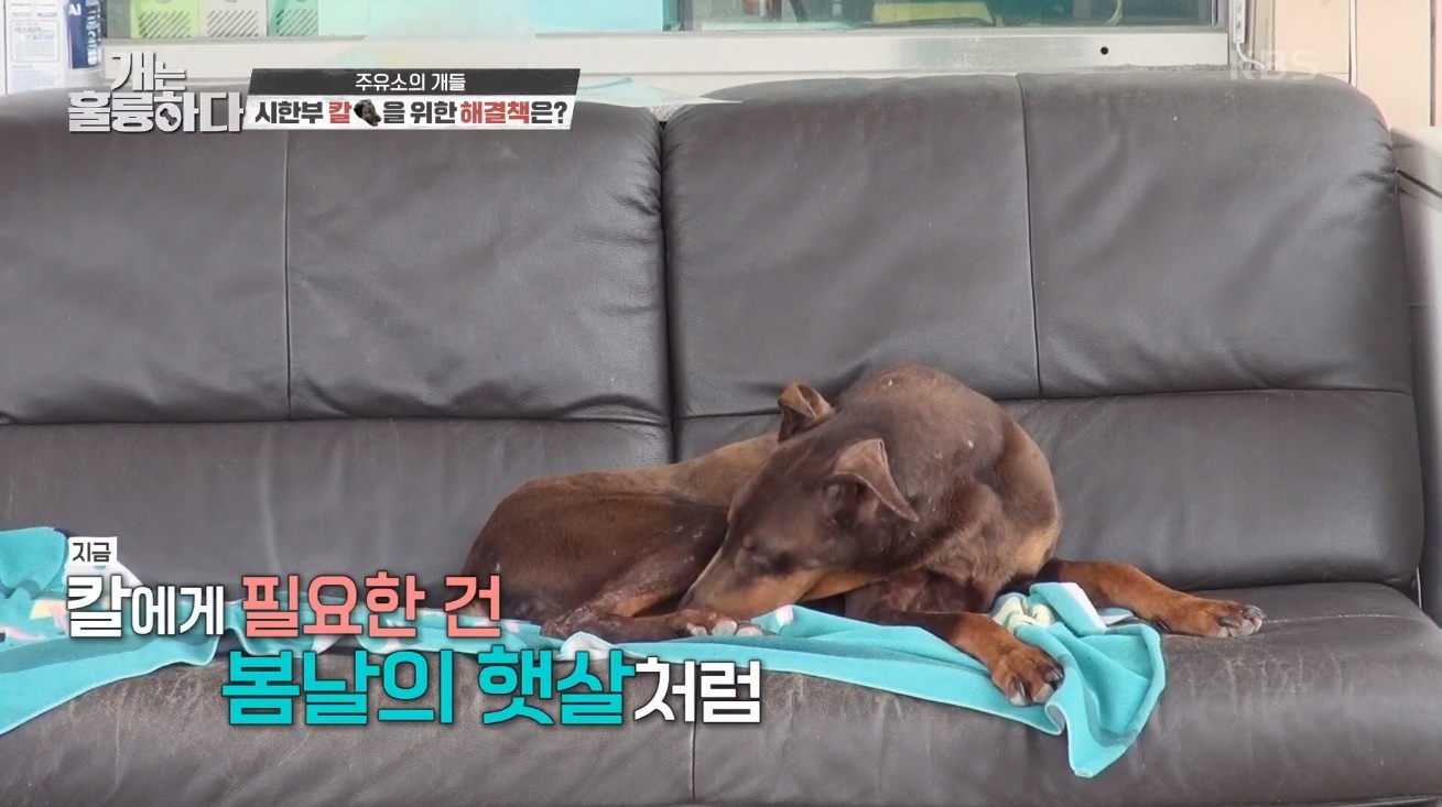보금자리주유소 이미지