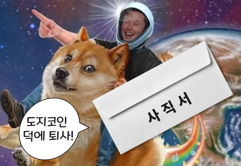 코인 이미지