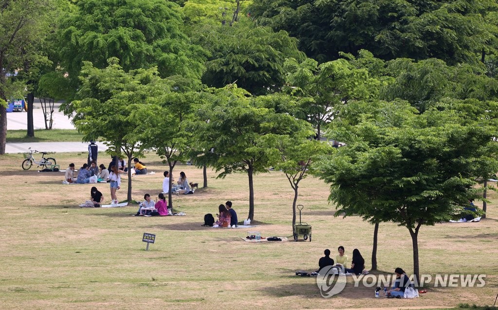 나무그늘 이미지