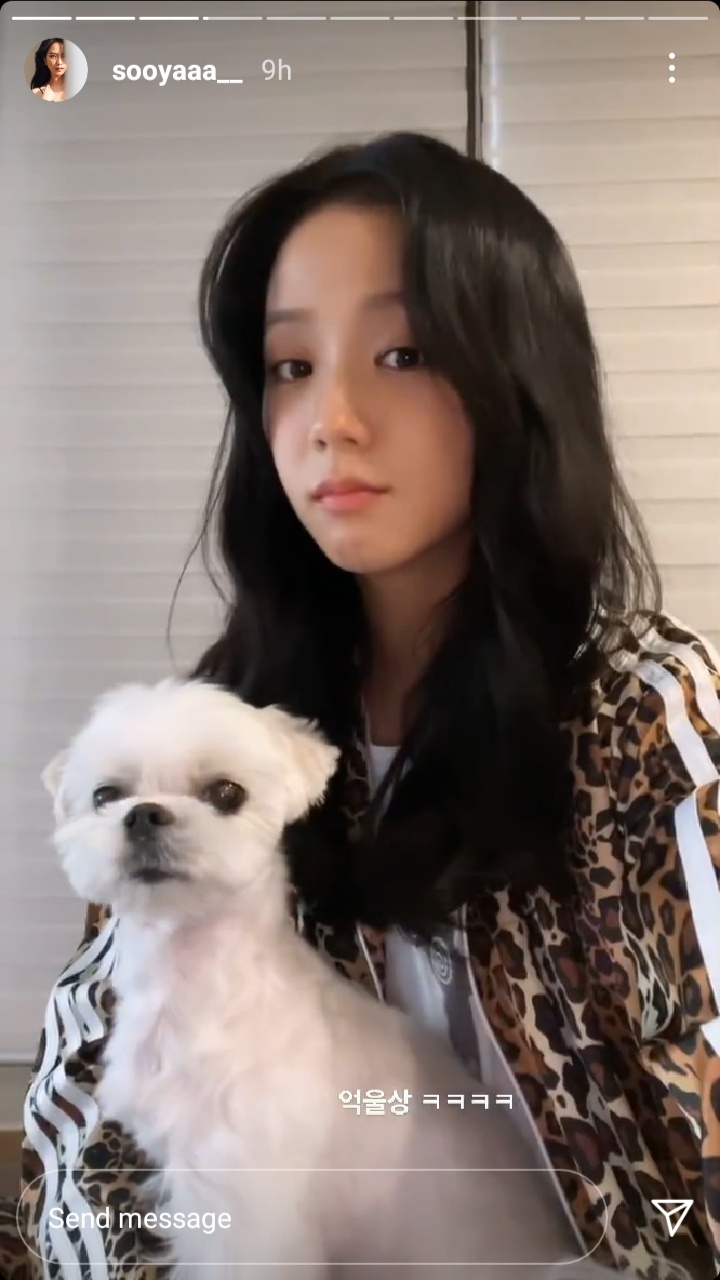 달곰 이미지