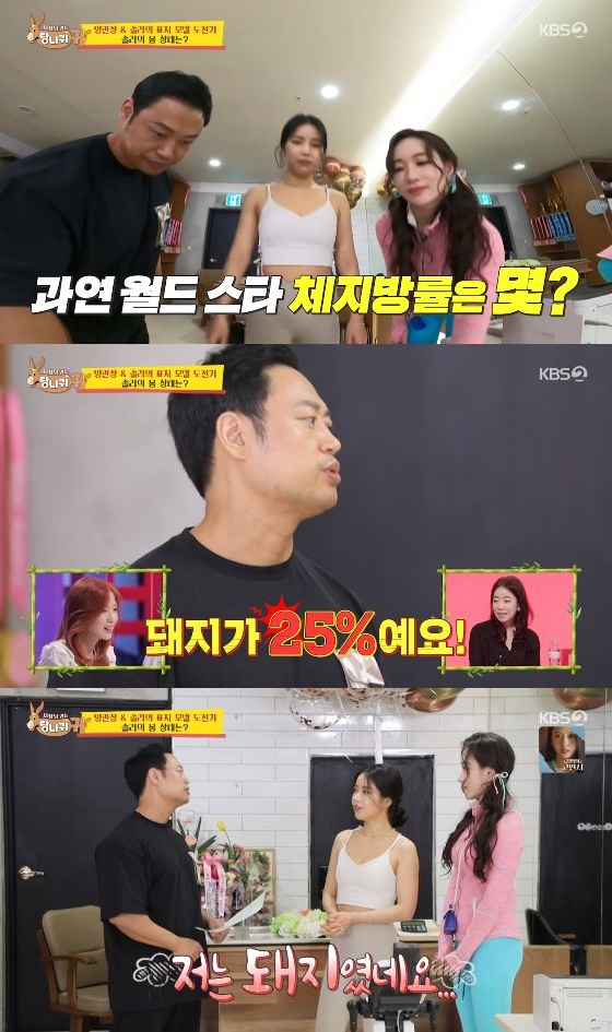 별별돼지 이미지
