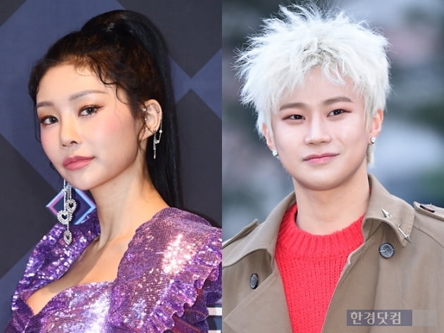 마르코이 이미지