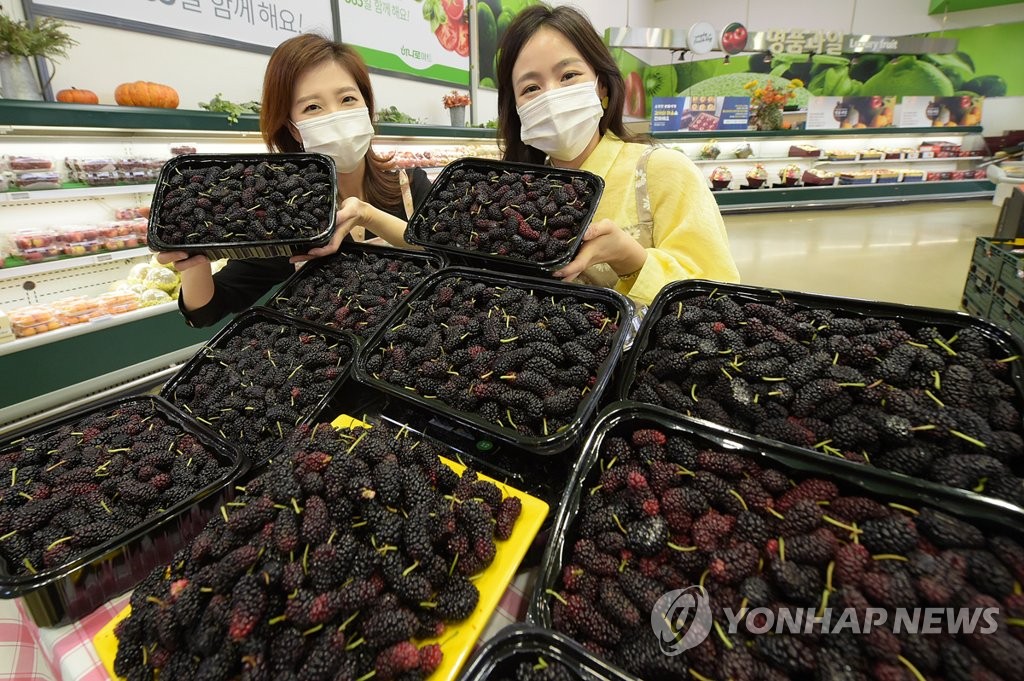 노화농협하나로마트 이미지