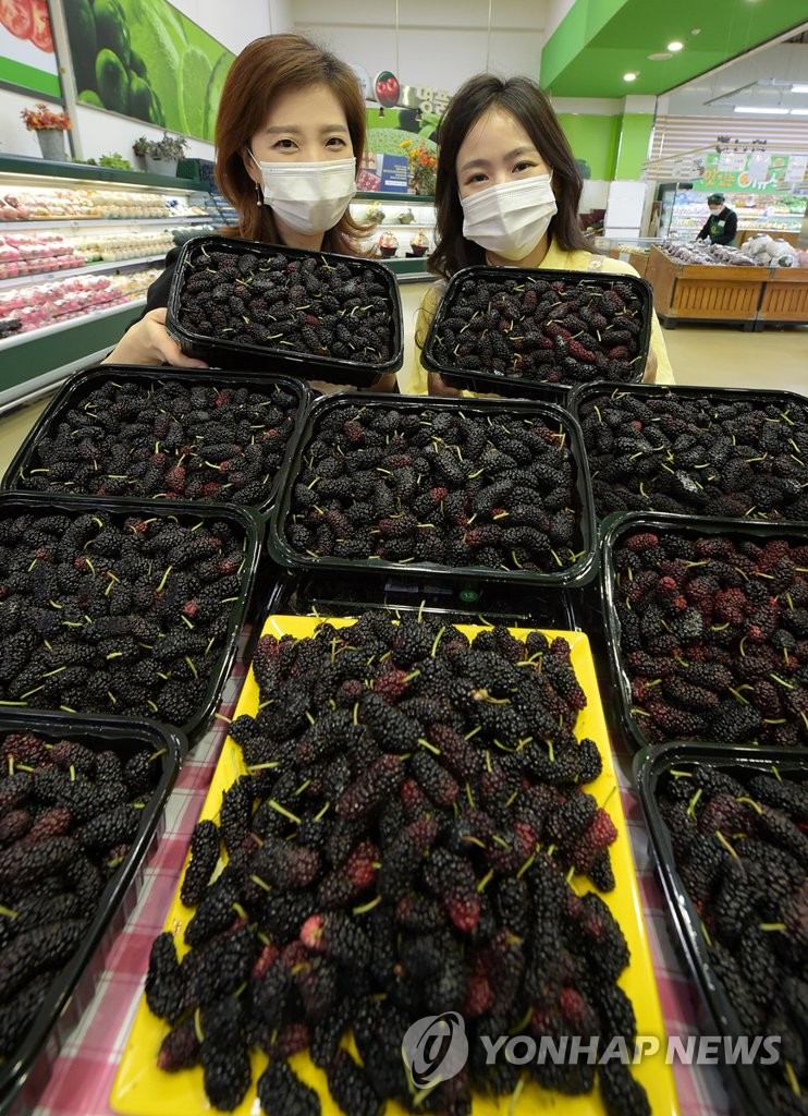 노화농협하나로마트 이미지