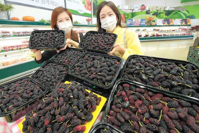 노화농협하나로마트 이미지