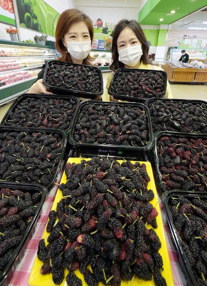 노화농협하나로마트 이미지