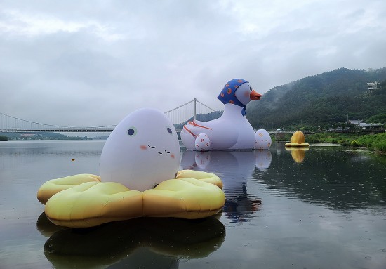 낙동강오리알 이미지