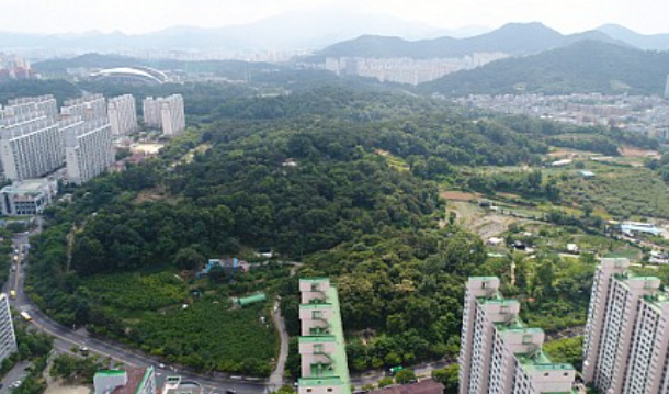 중앙공원 이미지