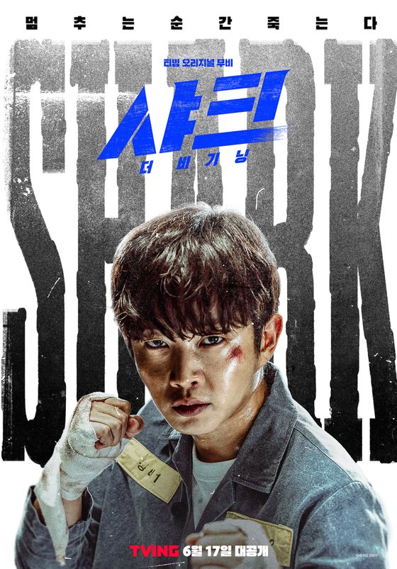 샤크스튜디오 이미지
