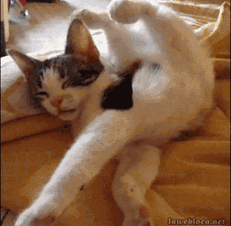 출처: 다음카페-자유공간3040