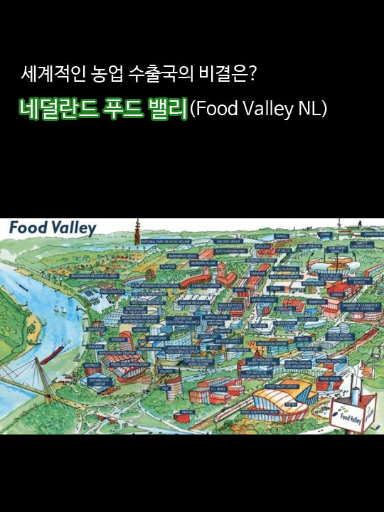 세계적인 농업 수출국의 비결은? 네덜란드 푸드 밸리(Food Valley NL) MyLoveKBS