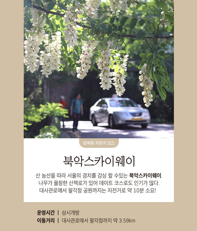 여행지 자전거 땀