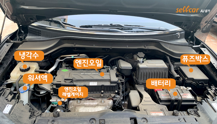 이 정도는 알고 운전하자! 엔진룸 넌 누구니? | Aj셀카