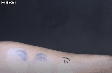 출처: 파이베트 (파이뷰티)