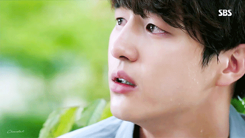 출처: 온라인 커뮤니티