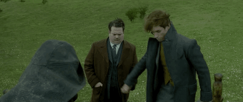 출처: 영화<신비한 동물과 그린델 왈드의 범죄>