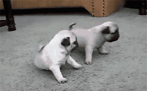 출처: giphy