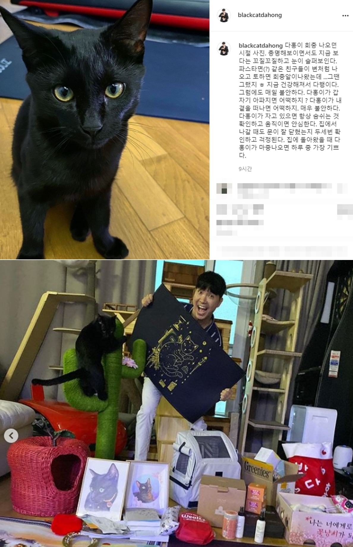 다홍 이미지