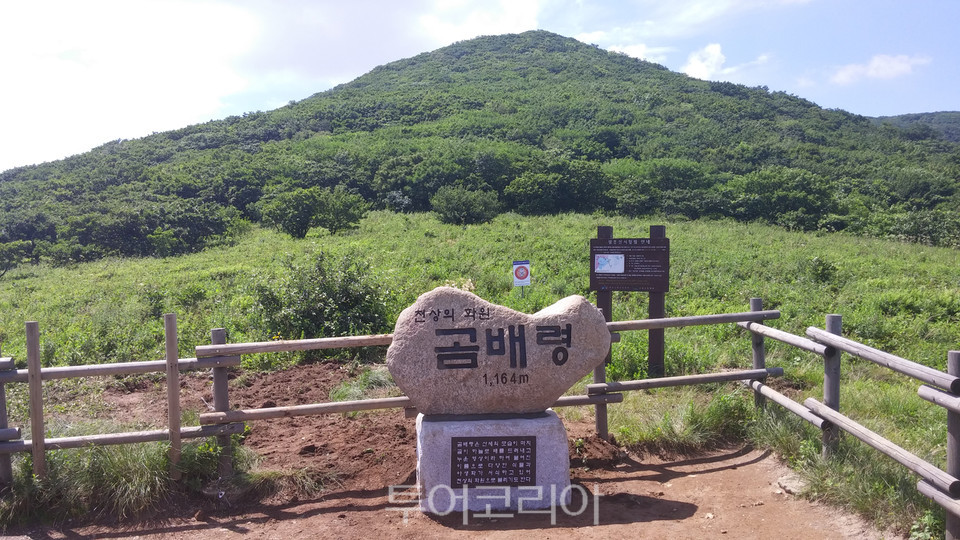 곰배령 이미지
