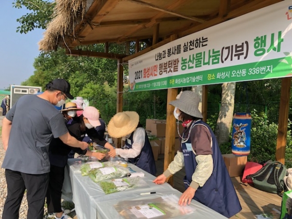화성야채 이미지