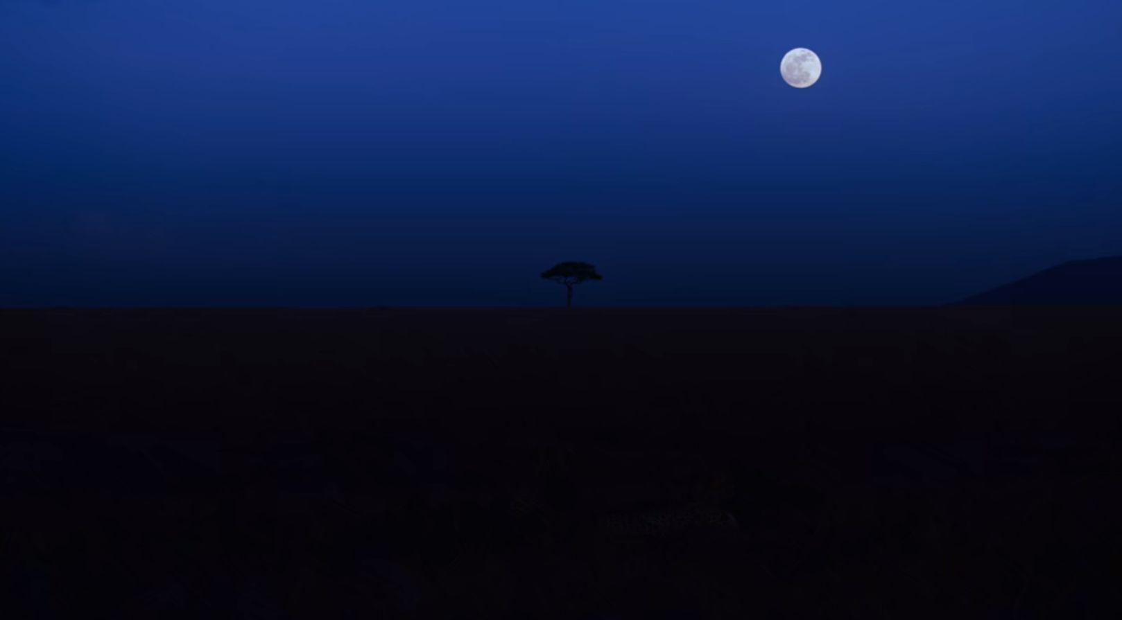 출처: '지구의 밤'