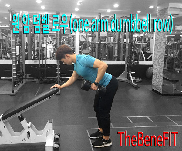 등운동의 마무리! '원 암 덤벨로우(one arm dumbbell row)' | 더베네핏 등운동의 마무리! '원 암 덤벨로우(One Arm Dumbbell Row)' | 더베네핏