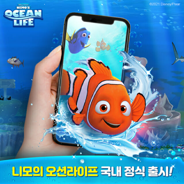 도리라이프 이미지