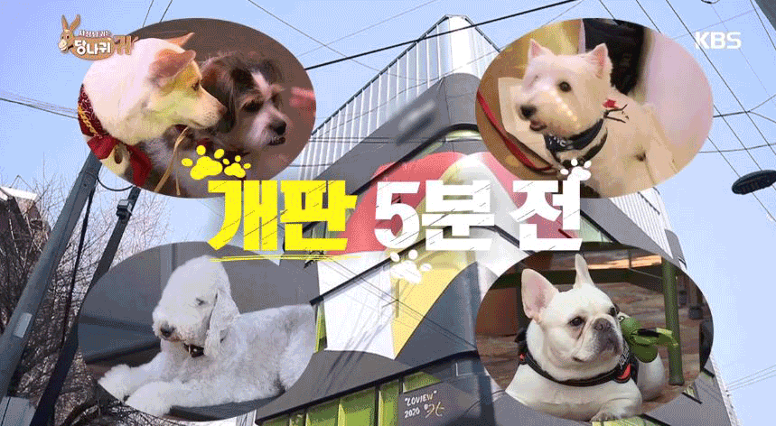 출처: KBS2 '사장님 귀는 당나귀 귀'