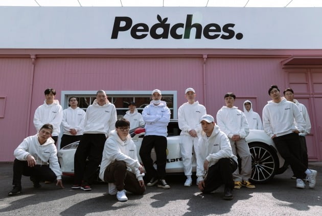 피치스 이미지