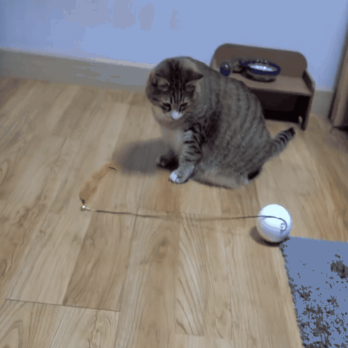 출처: 유튜브 '햄튜브' 채널