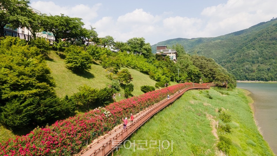 단양상회 이미지